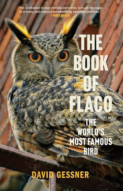 The Book of Flaco