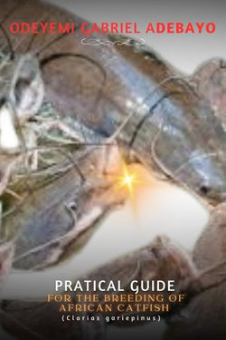 Practical guide for the breeding of African catfish