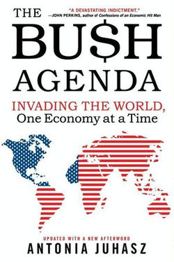 The Bush Agenda