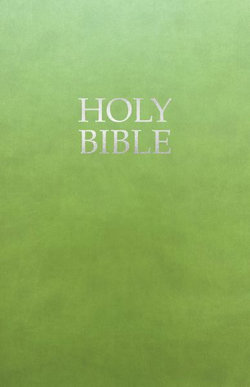 KJVER Gift and Award Holy Bible, Deluxe Edition, Olive Ultrasoft