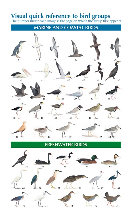 The Compact Australian Bird Guide | Angus & Robertson