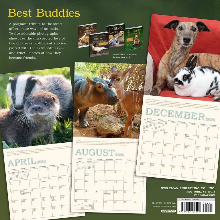 2020 Unlikely Friendships Wall Calendar Angus & Robertson