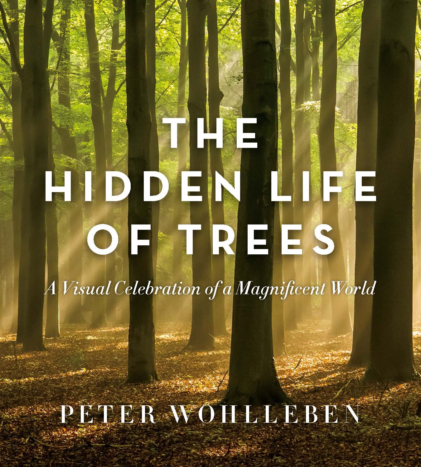 the hidden life of trees book summary
